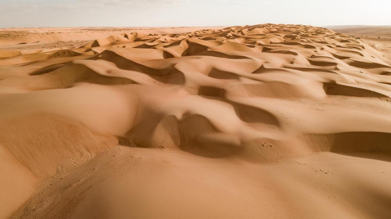 فندق كامب ساند ديلايت الوصل المظهر الخارجي الصورة