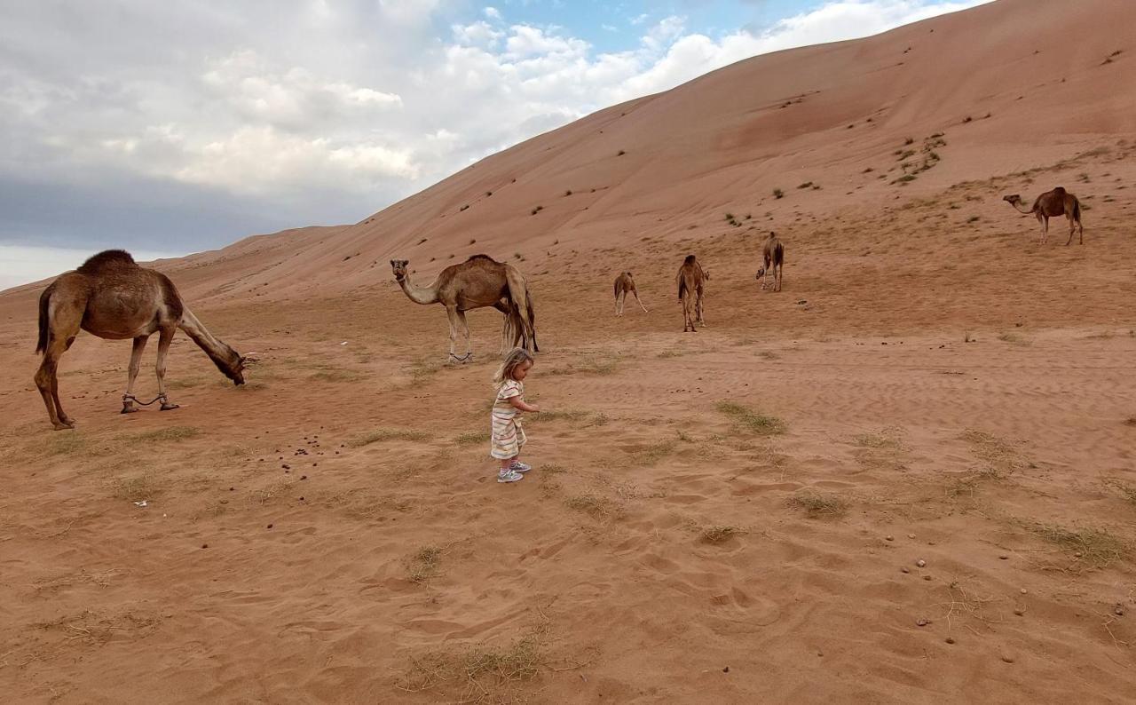 فندق كامب ساند ديلايت الوصل المظهر الخارجي الصورة